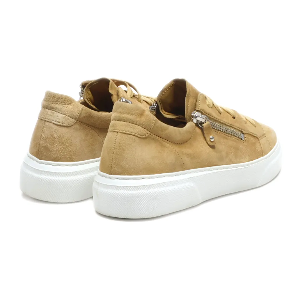 Gabor Low-Top Sneakers Suede Brown Colour For Women