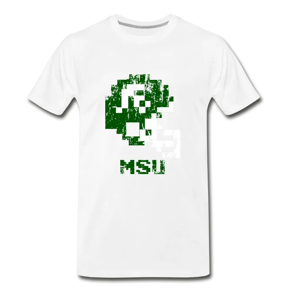 Michigan State Distressed Color